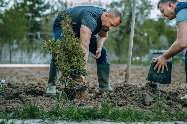 Best Tree and Shrub Care  in Bend, OR