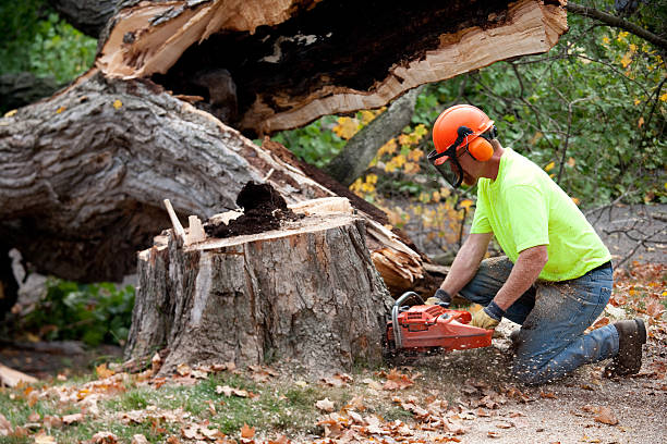Best Lawn Pest Prevention  in Bend, OR