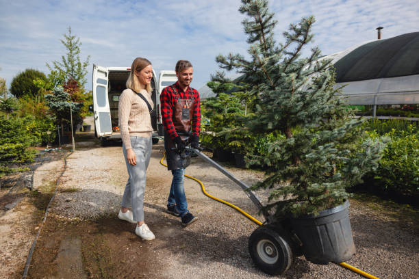 Best Commercial Tree Services  in Bend, OR